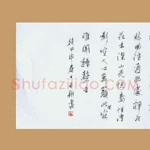 齐玉新 硬笔行草作品《常建诗一首》图片欣赏