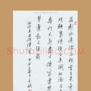 齐玉新 硬笔行草作品《吴昌硕诗一首》图片欣赏