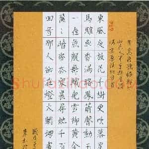 张松青 硬笔楷书作品《辛弃疾词一首》图片欣赏