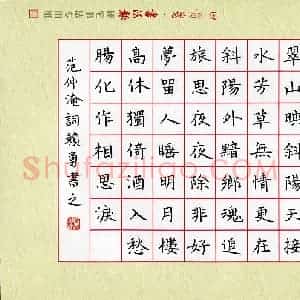 赖勇(成人组)硬笔书法大赛 入围作品选登图片欣赏