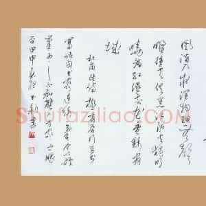 齐玉新 硬笔行草作品《杜甫诗》图片欣赏