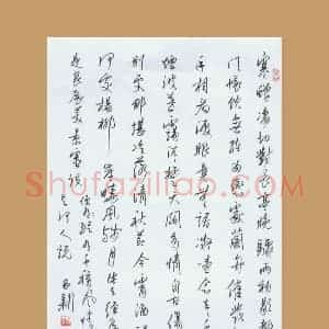 齐玉新 硬笔行草作品《柳永词》图片欣赏