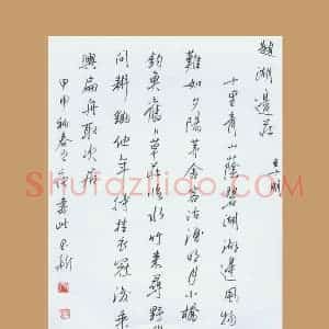 齐玉新 硬笔行草作品《王十朋题湖边庄》图片欣赏