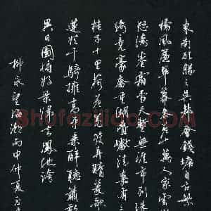 高玉才(成人组)硬笔书法大赛 入围作品选登图片欣赏
