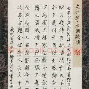 张松青 硬笔楷书作品《苏轼词水调歌头》图片欣赏