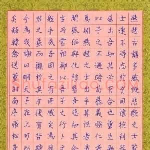 张松青 硬笔楷书作品《韩愈送董邵南序》图片欣赏