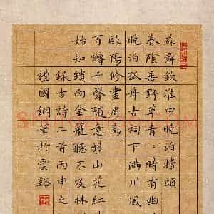 唐礼国(成人组)硬笔书法大赛 入围作品选登图片欣赏