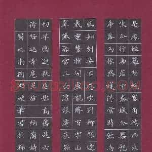 硬笔书法大赛 刘兴(特邀 四川)参赛硬笔书法作品欣赏