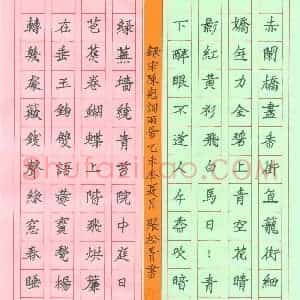 张松青 硬笔楷书作品《陈克词两首》图片欣赏