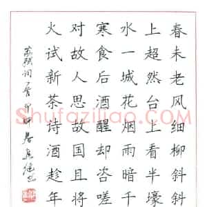 焦健 硬笔楷书作品《苏轼词望江南》图片欣赏