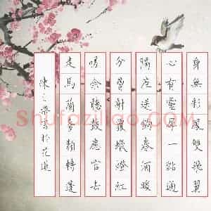 陈之乐(成人组)硬笔书法大赛 入围作品选登图片欣赏