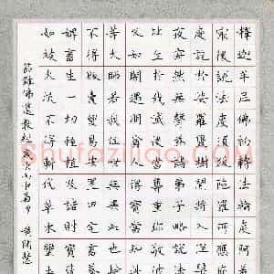 黄开慧(成人组)硬笔书法大赛 入围作品选登图片欣赏