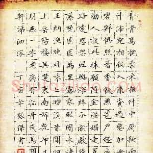 张杰(成人组 铜奖)硬笔书法大赛 获奖作品图片欣赏