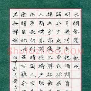 方得力(成人组)硬笔书法大赛 入围作品选登图片欣赏