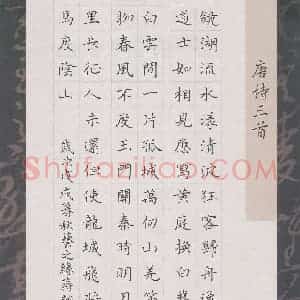蒋朝明(成人组)硬笔书法大赛 入围作品选登图片欣赏