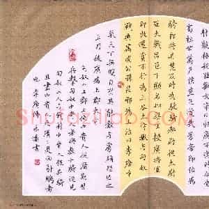 邹永远 硬笔楷书作品《李广传》图片欣赏
