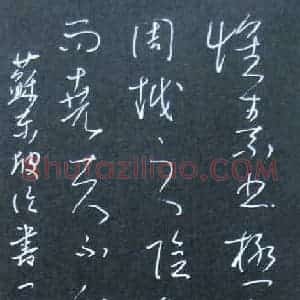 麦录 硬笔草书作品《苏东坡论书一则》图片欣赏