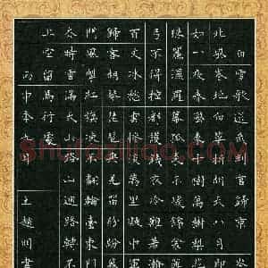 王赵明(成人组)硬笔书法大赛 入围作品选登图片欣赏