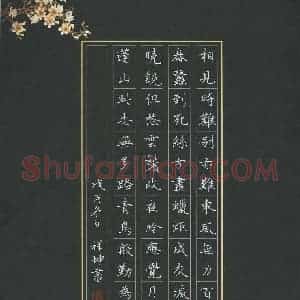 孙祥坤(成人组)硬笔书法大赛 入围作品选登图片欣赏