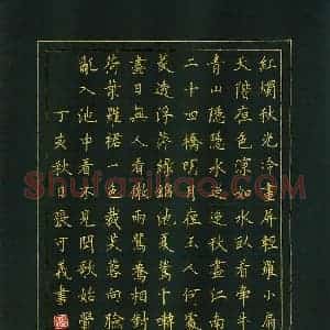 张可义 硬笔楷书作品《唐诗》图片欣赏