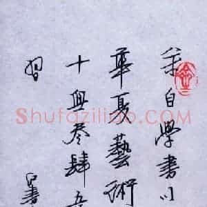 任定红 硬笔行书作品《学书感言》图片欣赏