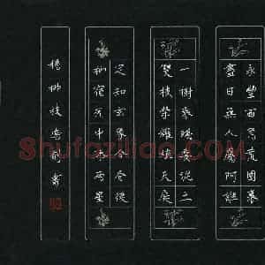 杨鸣剑(成人组)硬笔书法大赛 入围作品选登图片欣赏