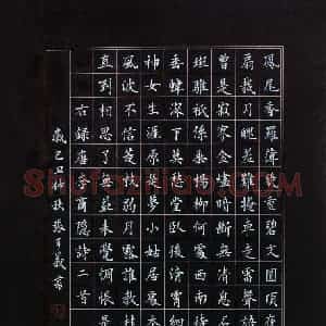 张可义 硬笔楷书作品《李商隐诗二首》图片欣赏
