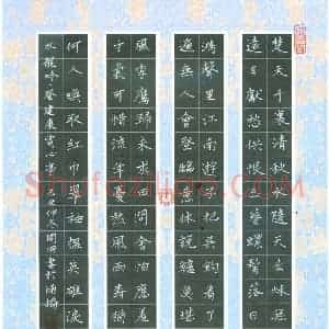 周朋 硬笔楷书作品《辛弃疾词水龙吟》图片欣赏