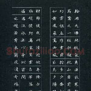 陈奇林(成人组)硬笔书法大赛 入围作品选登图片欣赏