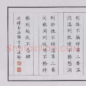 张学鹏 硬笔楷书作品《项穆书法雅言句》图片欣赏