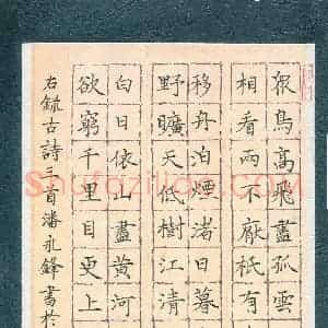 硬笔书法大赛 潘永锋(监委 浙江)参赛硬笔书法作品欣赏