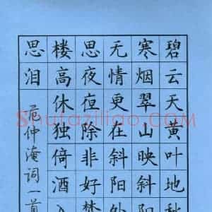 张学鹏 硬笔楷书作品《范仲淹词一首》图片欣赏