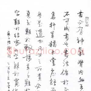 田雷 硬笔行书作品《苏子瞻论书语》图片欣赏