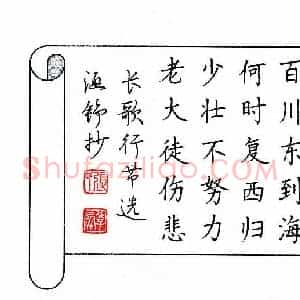 张学鹏 硬笔楷书作品《长歌行节选》图片欣赏