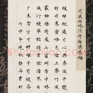 邹冉(成人组)硬笔书法大赛 入围作品选登图片欣赏