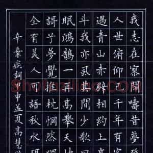 高慧照 硬笔楷书作品《辛弃疾词》图片欣赏