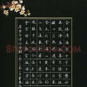 聂春红(成人组)硬笔书法大赛 入围作品选登图片欣赏