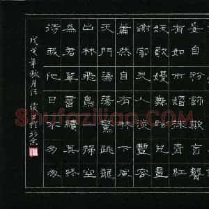 任俊(成人组)硬笔书法大赛 入围作品选登图片欣赏