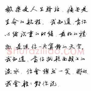 任平 硬笔行书作品《汪国真诗》图片欣赏