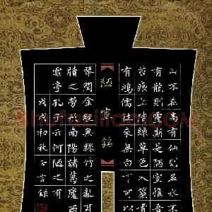 杨正言(成人组)硬笔书法大赛 入围作品选登图片欣赏