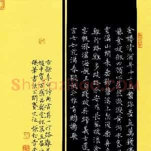 张松青(成人组)硬笔书法大赛 入围作品选登图片欣赏
