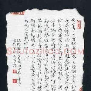 彭仲伟(成人组)硬笔书法大赛 入围作品选登图片欣赏