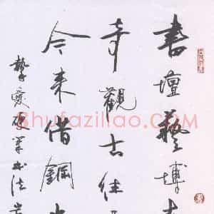 岸柳 硬笔行书作品《自作诗》图片欣赏