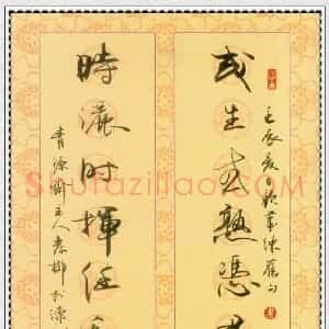 岸柳 硬笔行书作品《七言联》图片欣赏