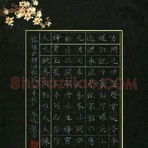 陈悦敏(成人组)硬笔书法大赛 入围作品选登图片欣赏