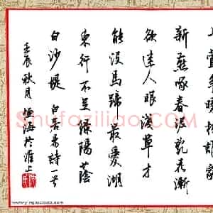 仇恒海 硬笔行书作品《白居易诗一首》图片欣赏