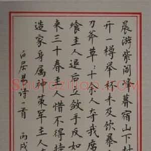 刘志明 硬笔楷书作品《白居易诗一首》图片欣赏