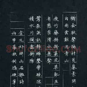 徐利鸿(成人组)硬笔书法大赛 入围作品选登图片欣赏