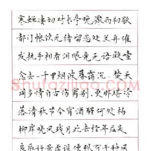 刘志明 硬笔楷书作品《柳永词雨霖铃》图片欣赏