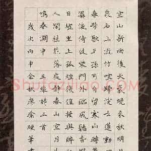 廖瑜(成人组)硬笔书法大赛 入围作品选登图片欣赏